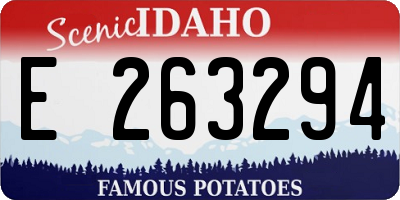 ID license plate E263294