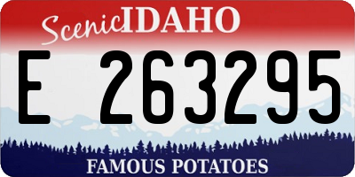 ID license plate E263295