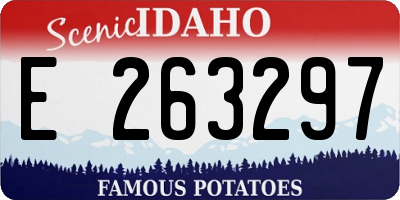 ID license plate E263297