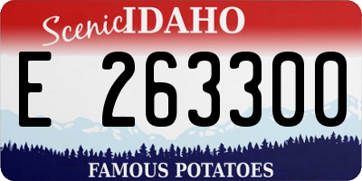 ID license plate E263300