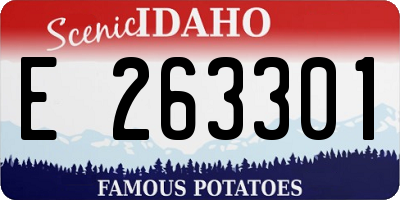 ID license plate E263301