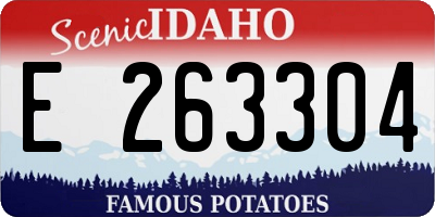 ID license plate E263304