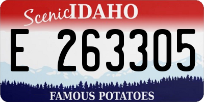 ID license plate E263305