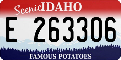 ID license plate E263306