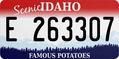 ID license plate E263307
