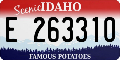 ID license plate E263310