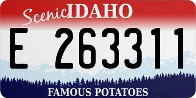 ID license plate E263311