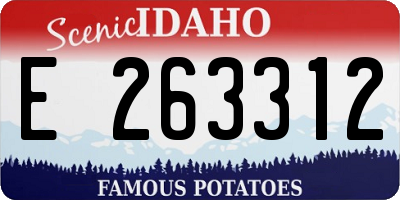 ID license plate E263312