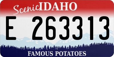 ID license plate E263313
