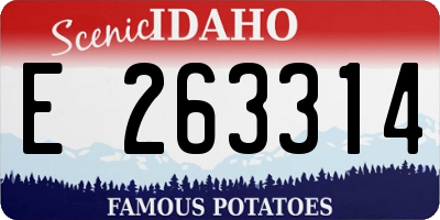 ID license plate E263314