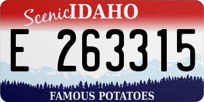 ID license plate E263315