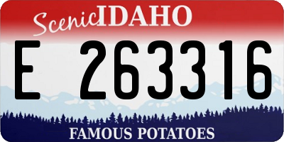 ID license plate E263316