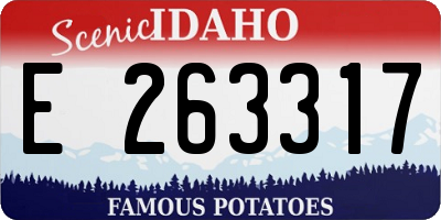 ID license plate E263317