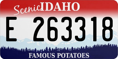 ID license plate E263318