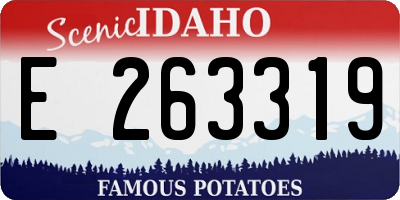 ID license plate E263319
