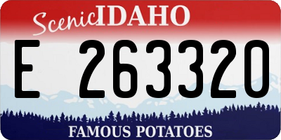 ID license plate E263320