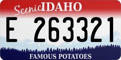 ID license plate E263321