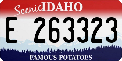 ID license plate E263323