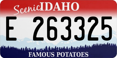 ID license plate E263325