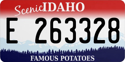 ID license plate E263328