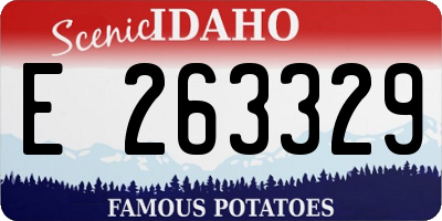 ID license plate E263329