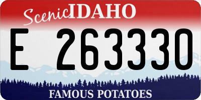 ID license plate E263330