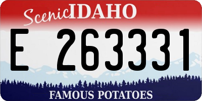 ID license plate E263331
