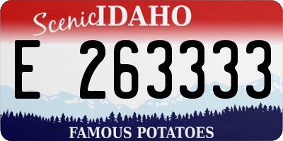 ID license plate E263333