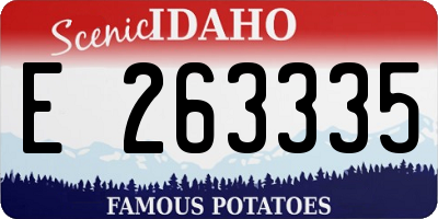 ID license plate E263335