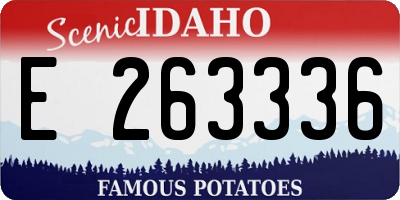ID license plate E263336