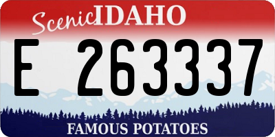 ID license plate E263337