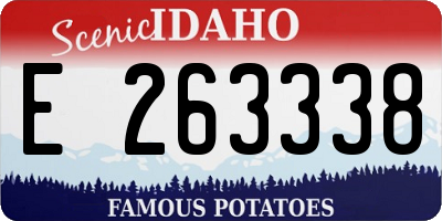 ID license plate E263338
