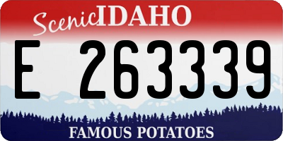 ID license plate E263339