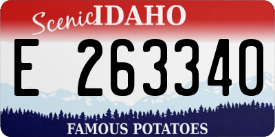 ID license plate E263340