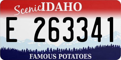 ID license plate E263341