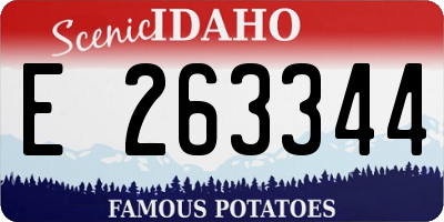 ID license plate E263344