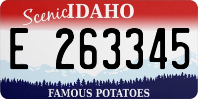 ID license plate E263345