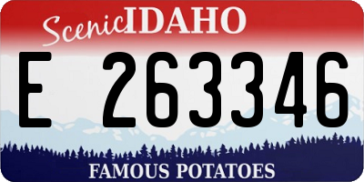 ID license plate E263346
