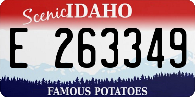 ID license plate E263349
