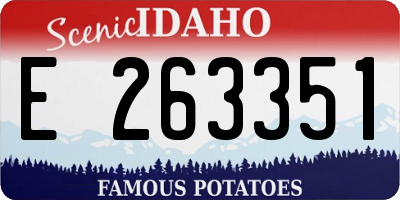 ID license plate E263351