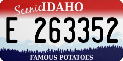 ID license plate E263352