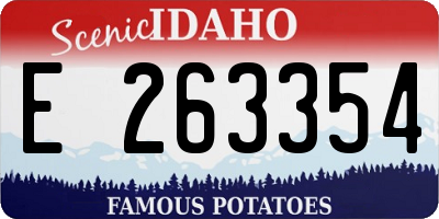 ID license plate E263354