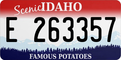 ID license plate E263357