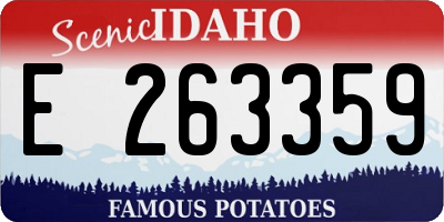 ID license plate E263359