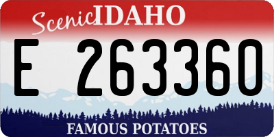 ID license plate E263360