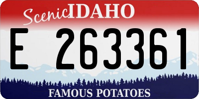 ID license plate E263361