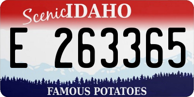ID license plate E263365