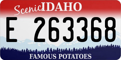 ID license plate E263368