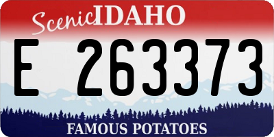 ID license plate E263373