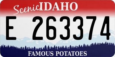 ID license plate E263374